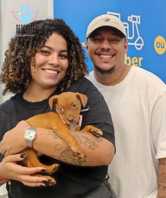 Casal com filhote caramelo adotado